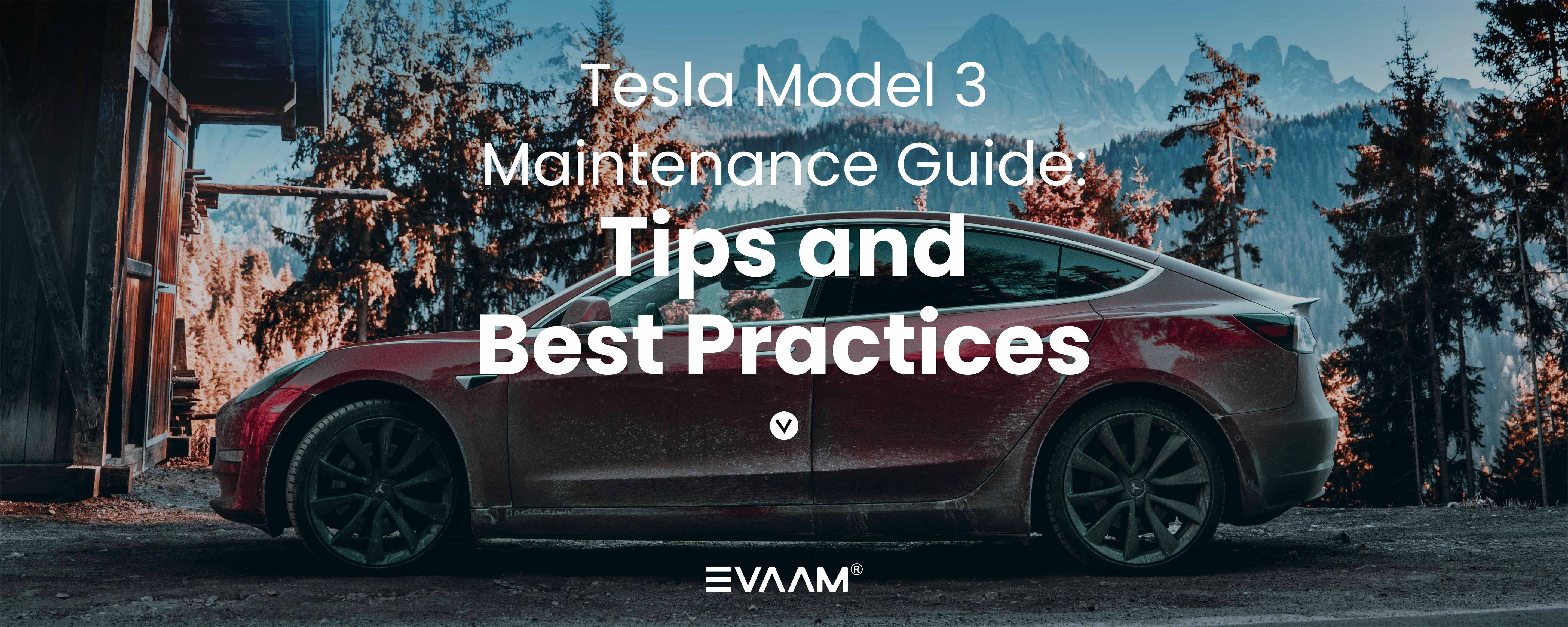Tesla Model 3 Maintenance Guide: Tips and Best Practices