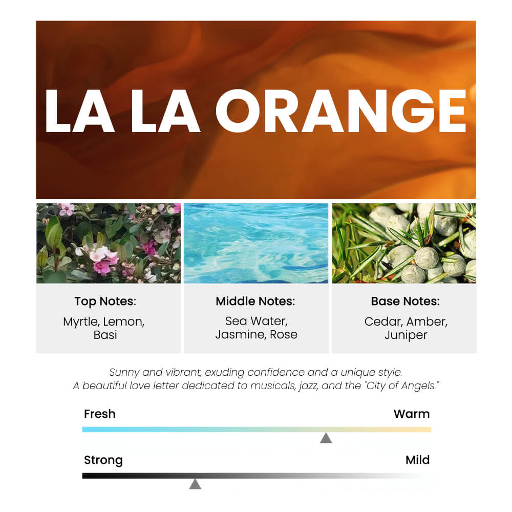 Diffuseur d'air pour tableau de bord Tesla Model 3/Y
