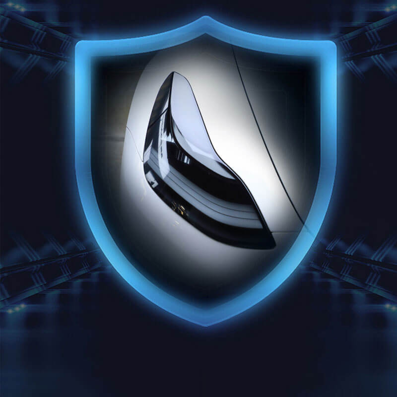 EVAAM Tinted Headlight and Foglight Protection for Model 3 / Y PPF Tesla Accessories - EVAAM