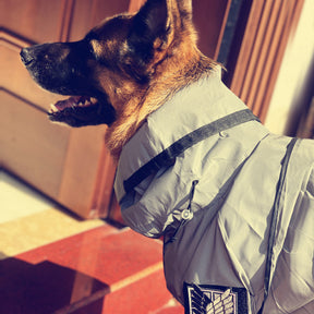Tactical Dog Reflective Storm Jacket - EVAAM