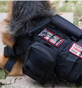 Tactical Dog Harness Set for Hiking Training - EVAAM