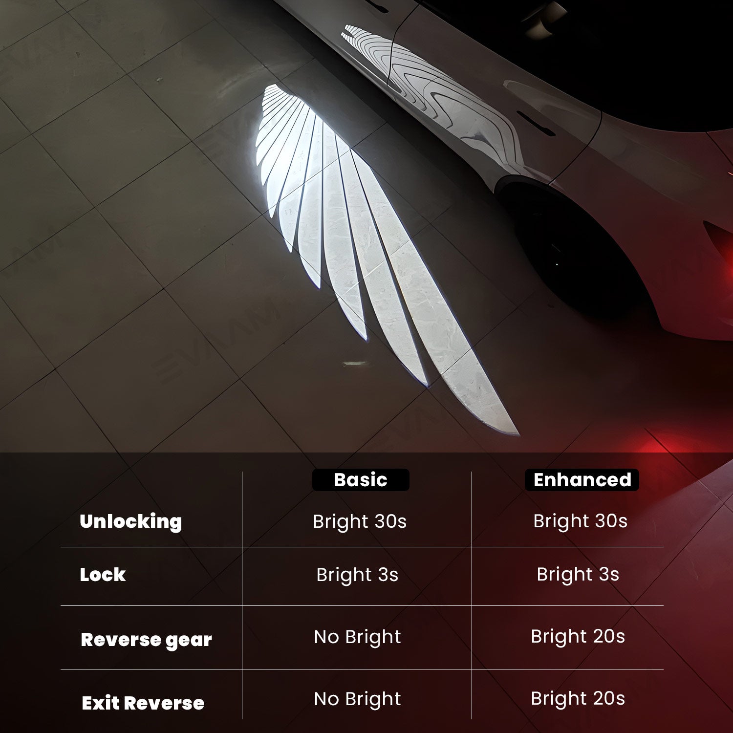 EVAAM® Angel Wing Mirror Light Projector For Tesla Model Y