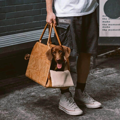 EVAAM® Multifunctional Car Pet Travel Bag