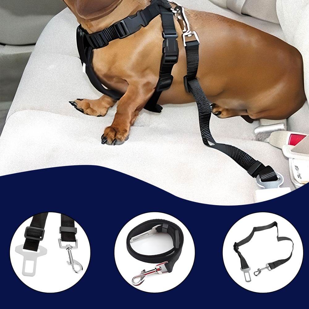 EVAAM® Pet Safety Seat Belt - Fits All Cars