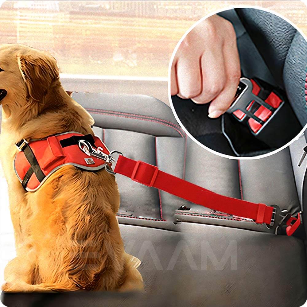 EVAAM® Pet Safety Seat Belt - Fits All Cars