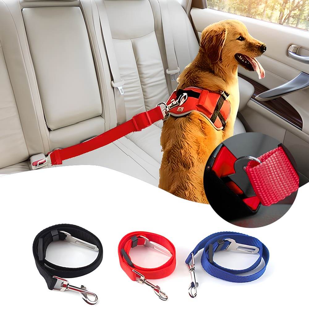 EVAAM® Pet Safety Seat Belt - Fits All Cars