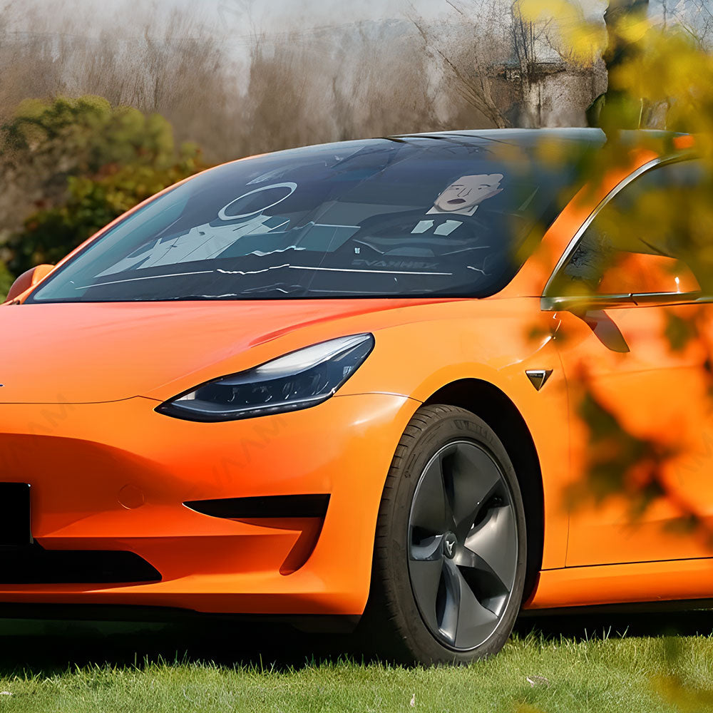 EVAAM® Windshield Glass Sun Shades for Tesla Model 3/Y (2017-2023) - EVAAM