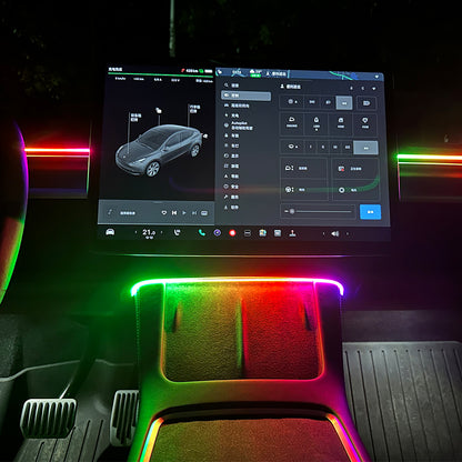 EVAAM ® Interior Tesla LED Strip Ambient Lighting for Tesla Model 3/Y - EVAAM