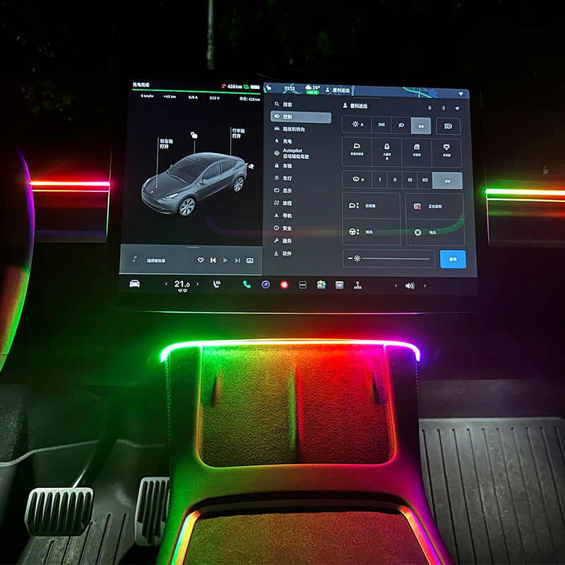 EVAAM ® Interior Tesla LED Strip Ambient Lighting for Tesla Model 3/Y - EVAAM