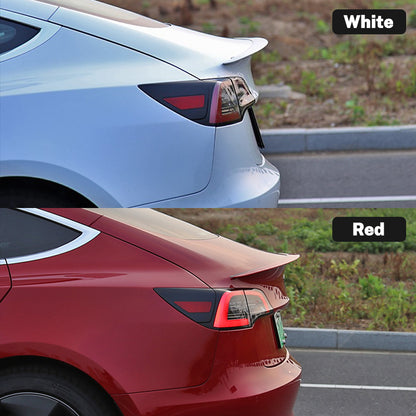EVAAM® Trunk Spoiler Wing For Tesla Model 3 Accessories (2017-2023) - EVAAM