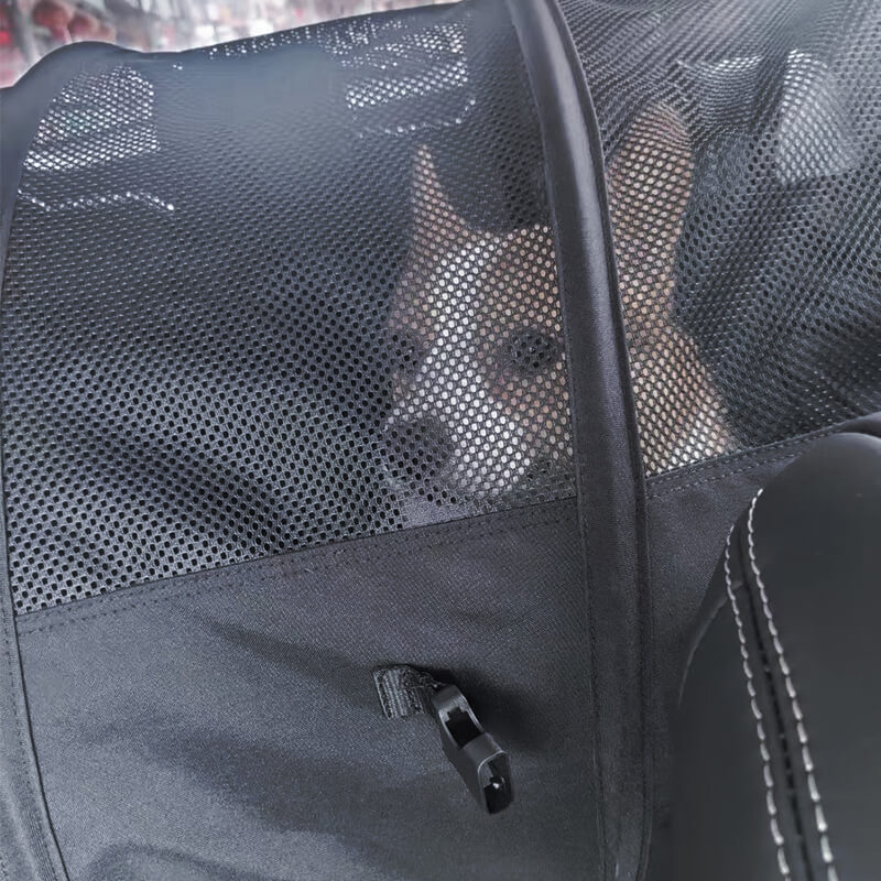Non-Scratch Folding Rear Seat Pet Car Bag for Medium and Large Pets - EVAAM