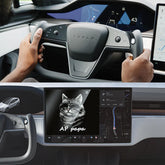 AP PAPA Autopilot Nag Reduction Device Yoke Version for Tesla Model S/X Accessories - EVAAM
