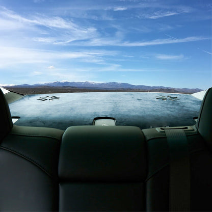 EVAAM Anti-Glare Dash Mat for Model 3/Y Accessories - EVAAM